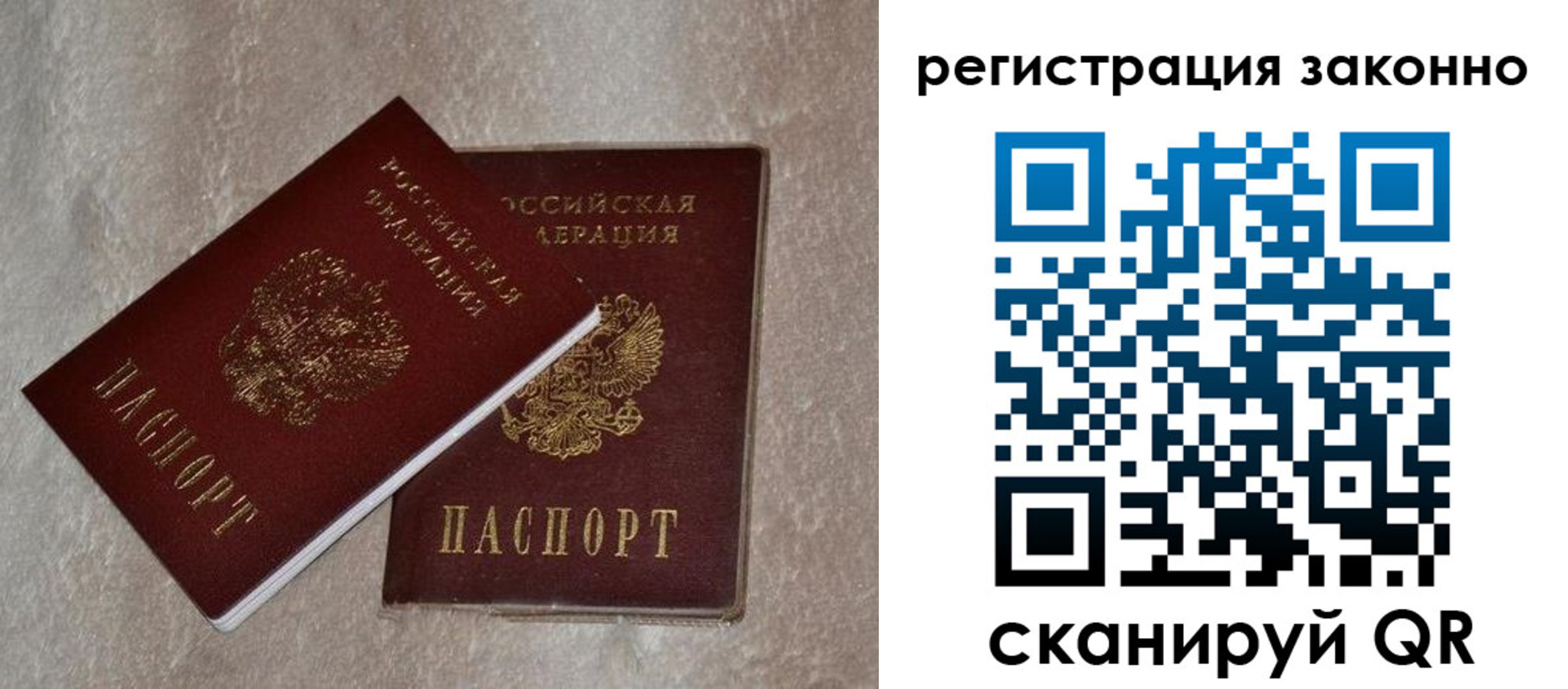прописка законно в Владимире